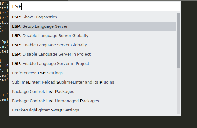 Setup Language Server